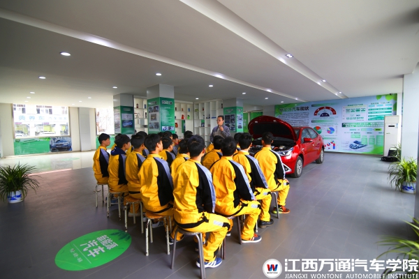 _MG_9395_compressed.jpg